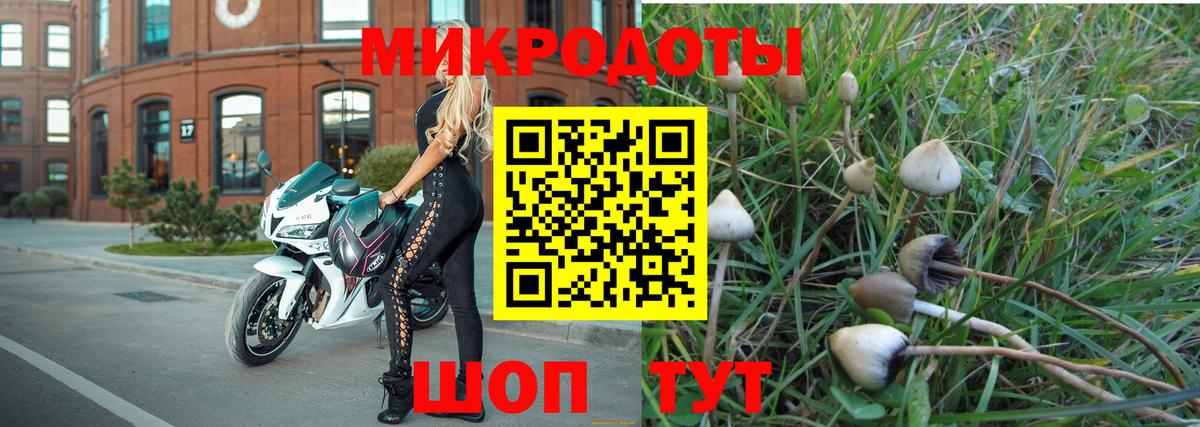 купить наркотик  Галлюциногенные грибы мухоморы  Вход с VPN  Северодвинск 